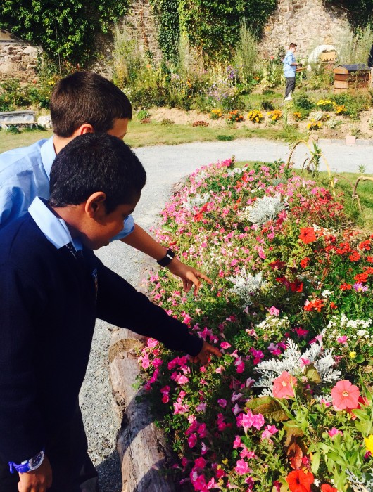 5th Class visit the New Street Garden 11/09/14