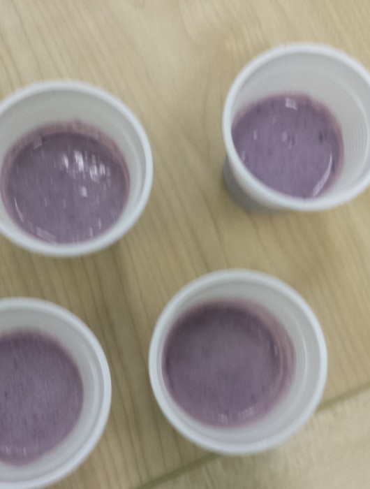 Blackberry Milkshakes!!