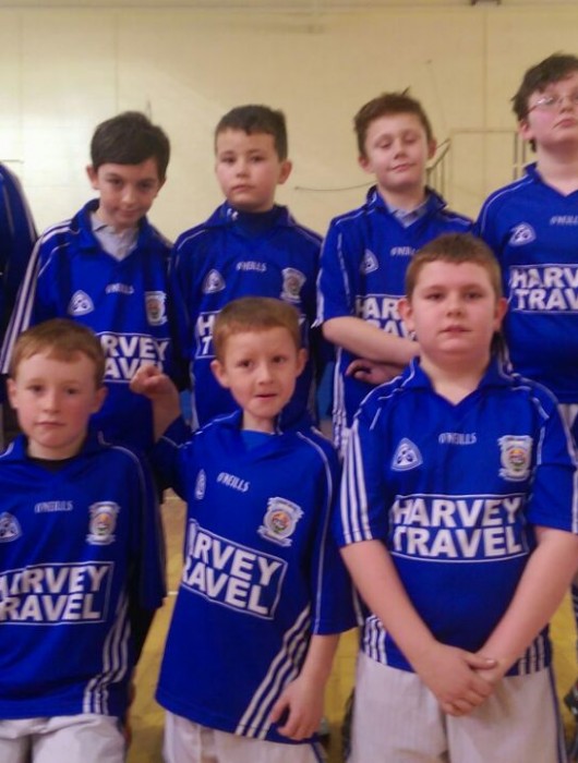 Indoor Hurling at Mount Sion Primary