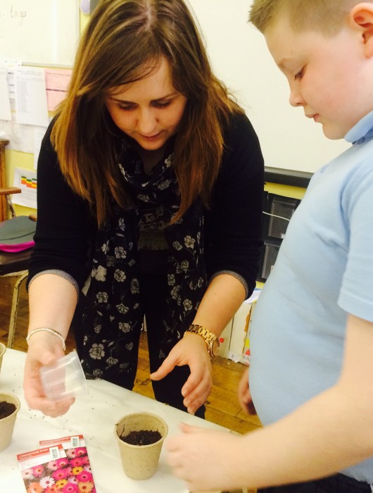 Planting in Room 21