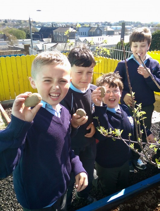 Room 13 Potato Planters!