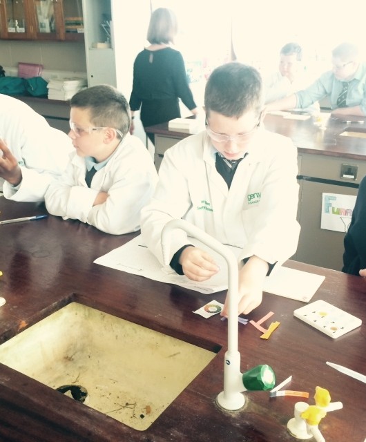 Paired Science with Mount Sion Secondary School & Genzyme